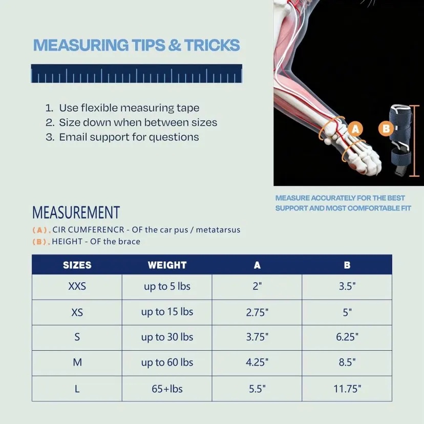 อุปกรณ์พยุงขาสุนัขแบบ Carpal H - Ankle Mobility Band บทวิจารณ์และราคา